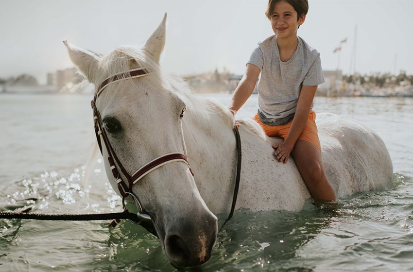 Honour UAE National Day with Exclusive Stays at JA Palm Tree Court, JA Beach Hotel, or JA Lake View Hotel